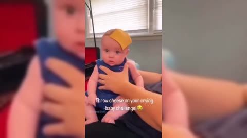 THROWING CHEESE AT A BABY FUNNY VIDEOS 😆 - COMPILATION!!!!!!!!!!!!!!!