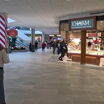 CANADIAN SHOPPING SPREE...FIVE ARRESTED