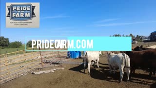 Trent Loos in the Morning - 12/17/2025