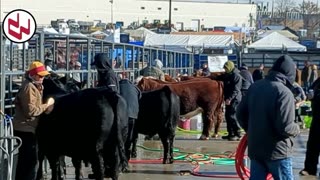 Trent Loos in the Morning - 12/17/2025