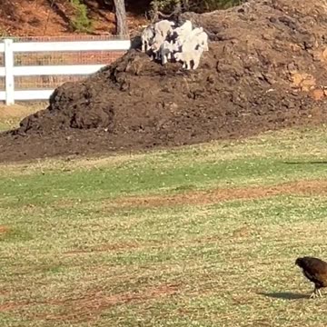 Kids are all in Daycare, time to get to Work!!!