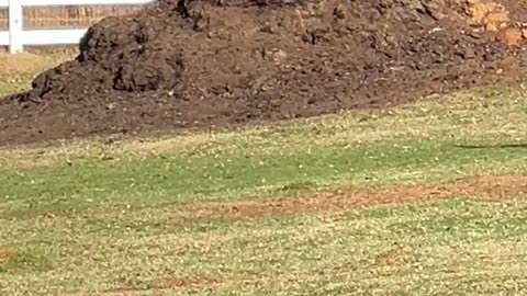 Kids are all in Daycare, time to get to Work!!!