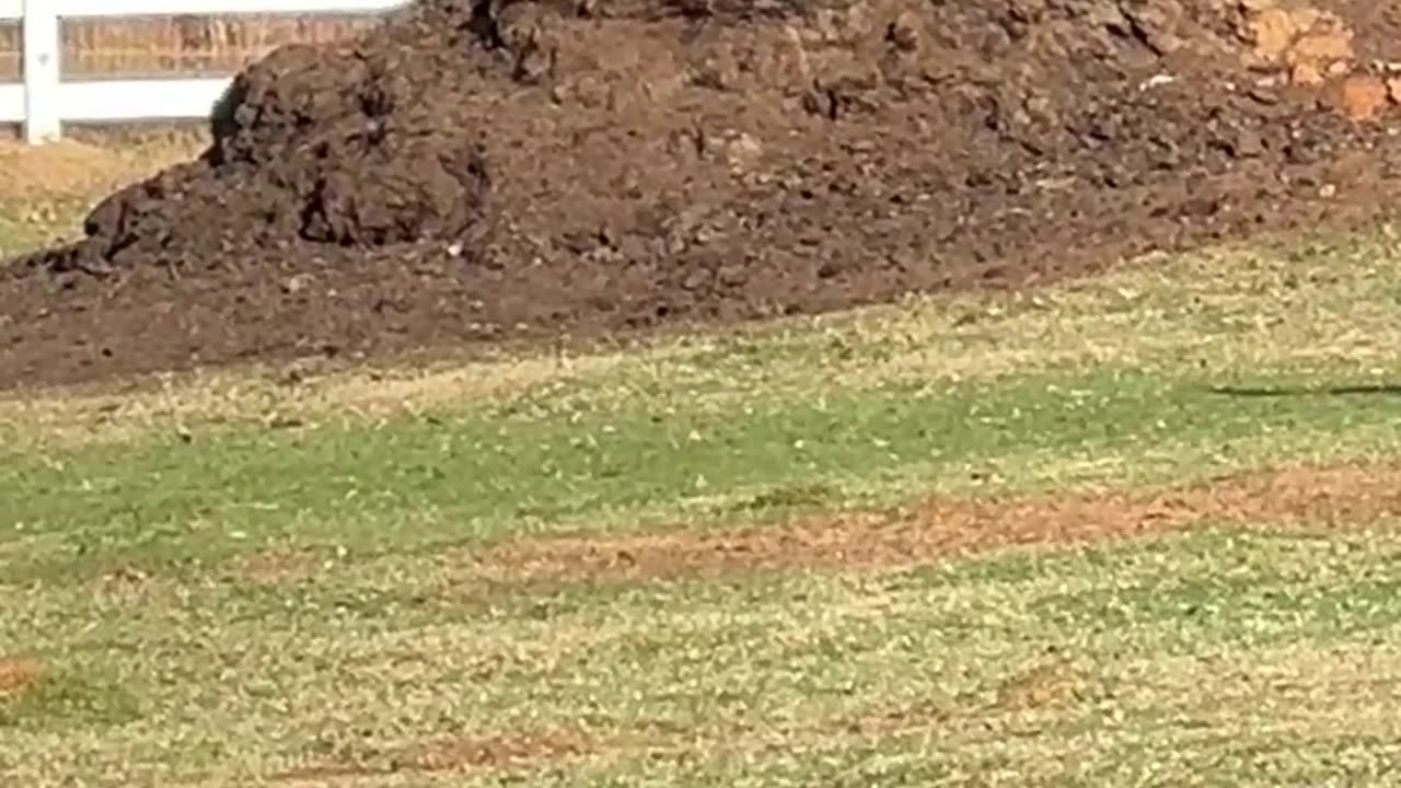 Kids are all in Daycare, time to get to Work!!!