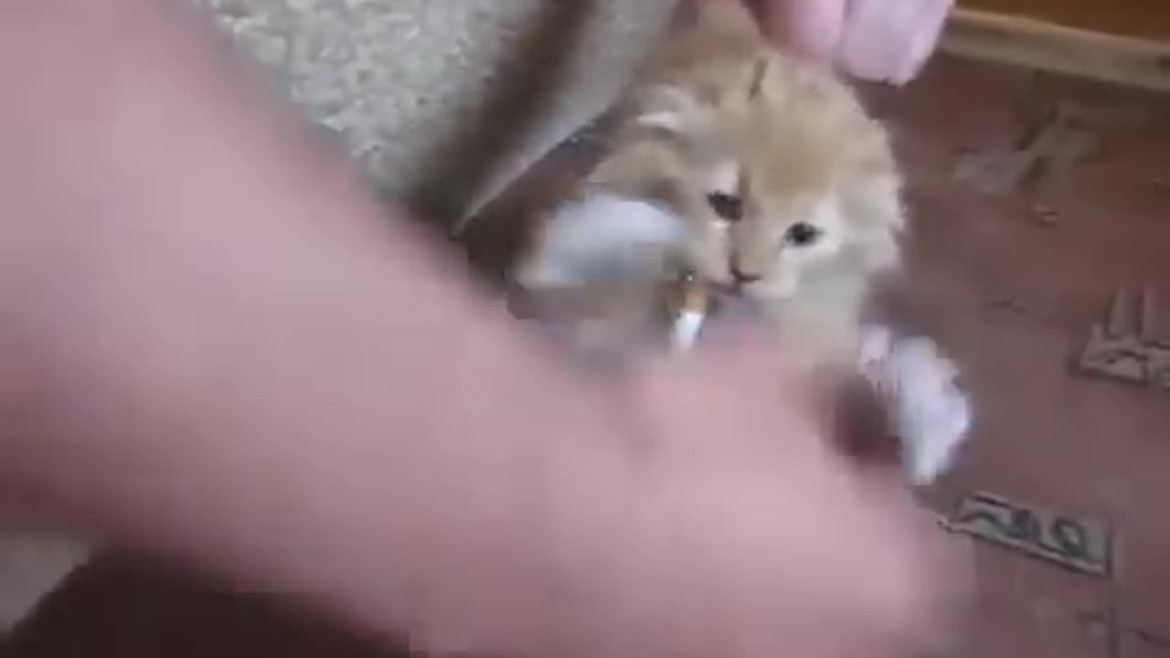 Leave me alone, let me smoke.