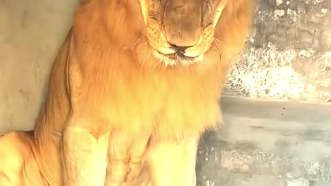 Why was the king angry?