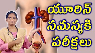 యూరిన్ సమస్యకి పరీక్షలు Tests Of Urinary Tract Infection UTI Homeopathy Treatment Medicine Cure