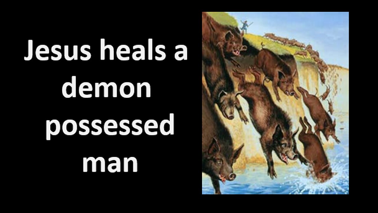 Matthew Bible Study Chapter 8 Explained