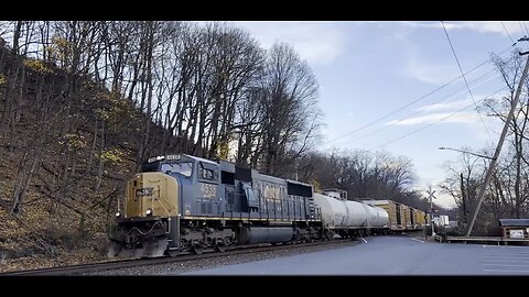 End of November Catches!