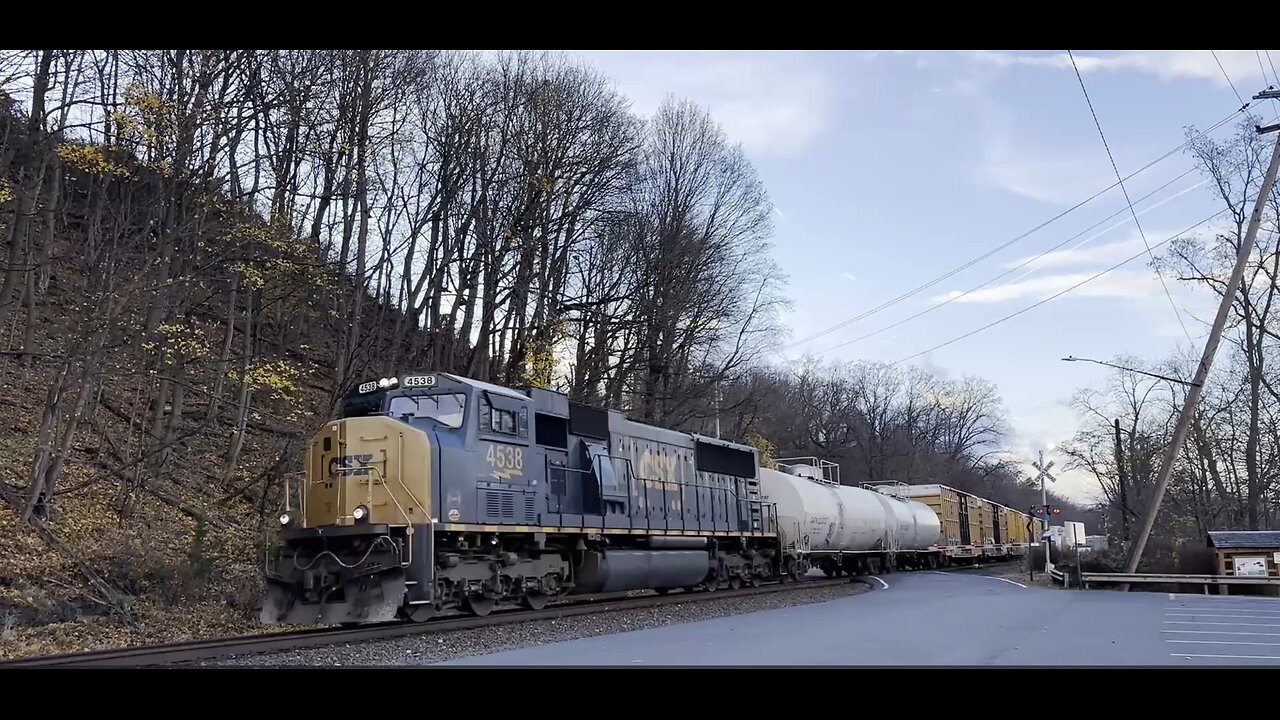 End of November Catches!