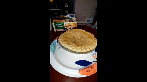 Eating Marie Callender's Creamy Parmesan Chicken Pot Pie, Dbn, MI, 2/24/25