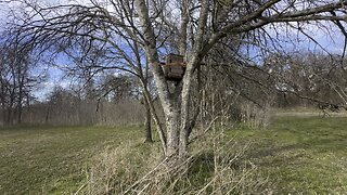 Feb 28 swarm trap/bee houses put out.