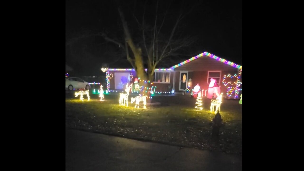 Merry Christmas from Resistance Chicks, On a Rainy Night Walk!