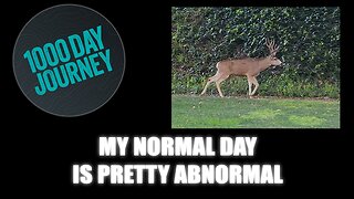 1000 Day Journey 0895 I Admit, My Normal Day is pretty Abnormal