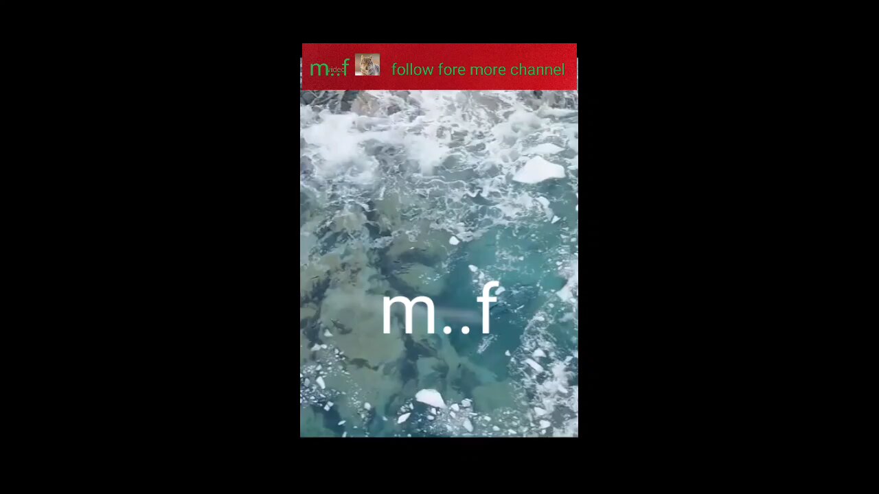 like comment and share video