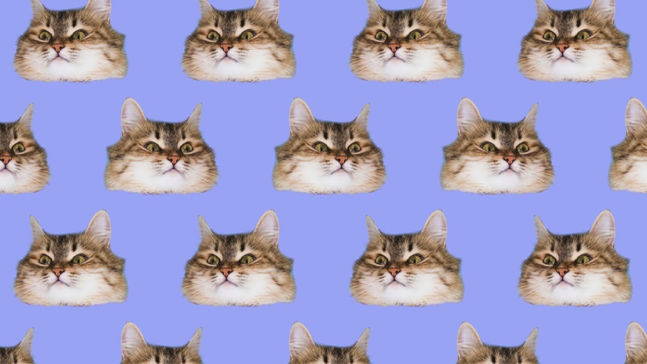 Music stream time 🎶 🎵 😌 ♥️ ❤️ 👌 🎶 🎵