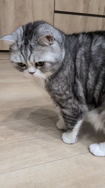 Android upload test original duration 1:24