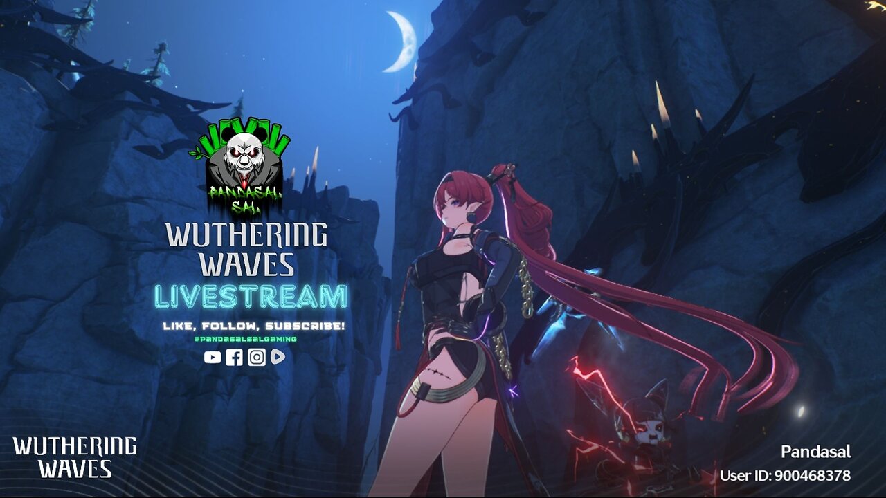 Chill Stream | Wuthering Waves Rinascita Story | Panda Play