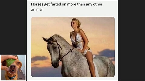 Memes That Will 99.0420% Make You Laugh. (e644)