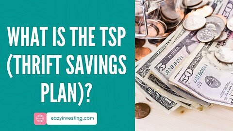 What is the TSP (Thrift Savings Plan)?