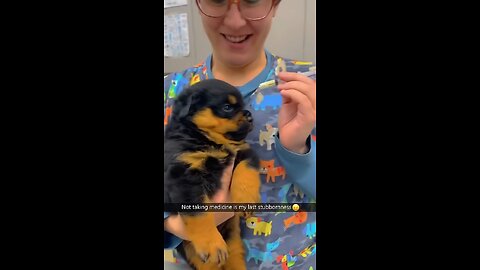 Dog in vet🥺🥺 #foryou #fyp #fypシ #funny #funnyvideo #dog #dogs #doglover #funnydog