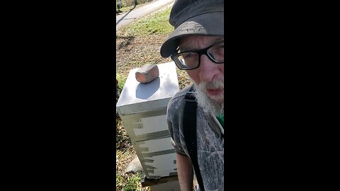 🐝Feedin DA Shungite Tower🐝👍