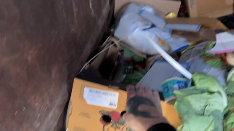 Dumpsterdivemofo video 2