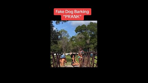 Fake dog barking “PRANK”