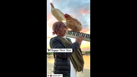 FOUR TALENTED CHICKS!WONDERFUL! Original content by @piayano2017, Instagram, 12-31-24.