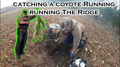 COYOTE Trapping in IOWA: Coyote Running A Ridge | S5 Ep 7