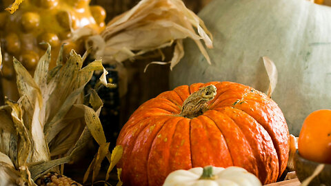 Happy Thanksgiving To All And Great Blessings!