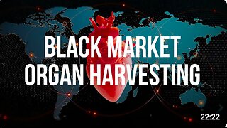 Organ Harvesting - The Global Black Market They Don’t Want You to See