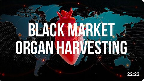 Organ Harvesting - The Global Black Market They Don’t Want You to See