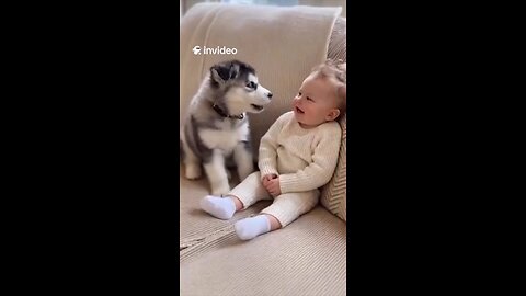 Made this adorable moment using InVideo AI 🐶👶😂 Too cute to handle! #InVideoAI #ViralVideo #Funny