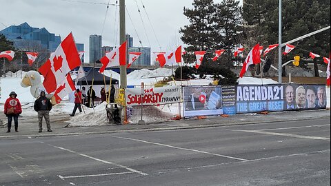 2025 03 02, Mississauga Protest