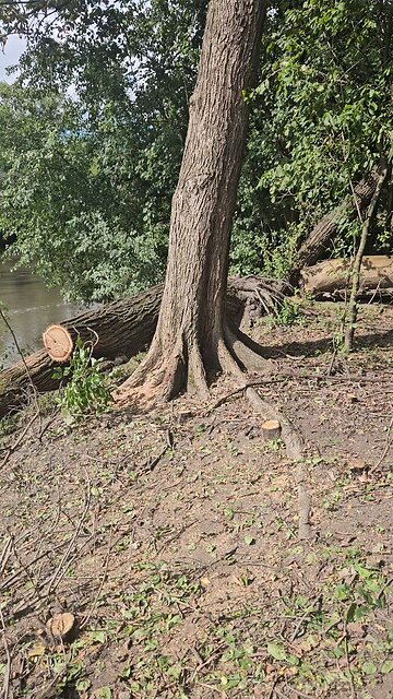 Once in a Lifetime. Watching the Years go by, Water Flowing Undergtound