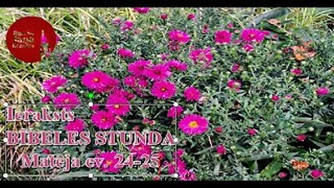 Bībeles stundas tiešraides ieraksts, 16.10.2025.