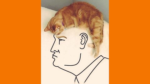 No Federal Pronouns, 20 + FBI Heads Fired, Trade Wars, Western Banks Backed Soviets & Nazis
