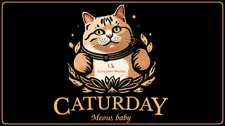 Operation #Caturday