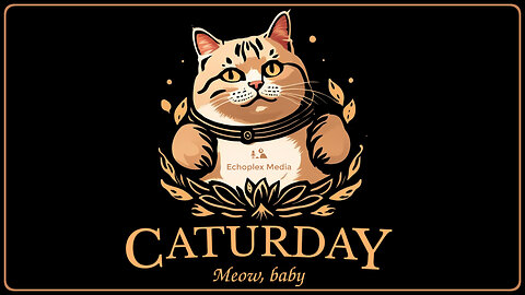 Operation #Caturday