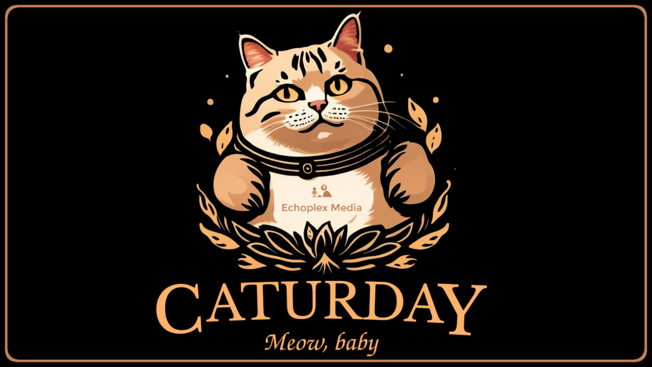 Operation #Caturday