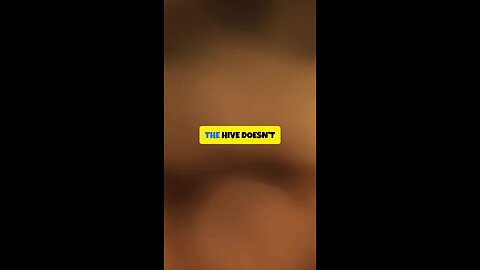 The Hive Survives Through Synchronization 🐝 | Hive Within Qassim