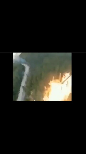 Forest fires are NOT climate change