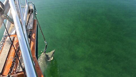Boat Ride on a Flat Lake Michigan - Baily's Harbor to Sturgeon Bay in July, '25
