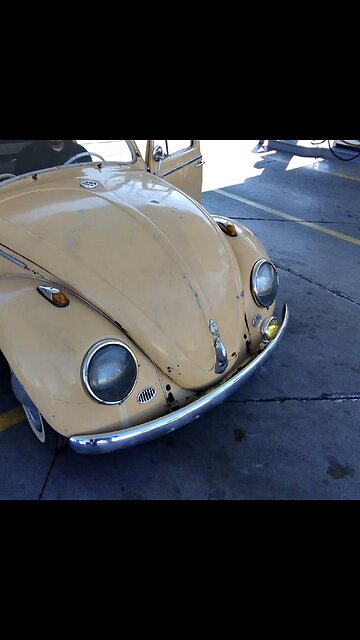 Te gustan los bochitos?