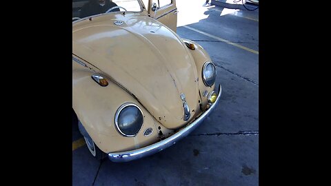 Te gustan los bochitos?