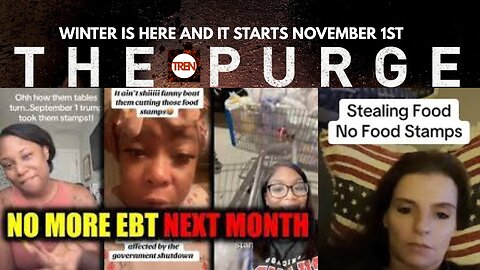 🔴 FAIR USE LIVE: The Purge starts this Weekend!