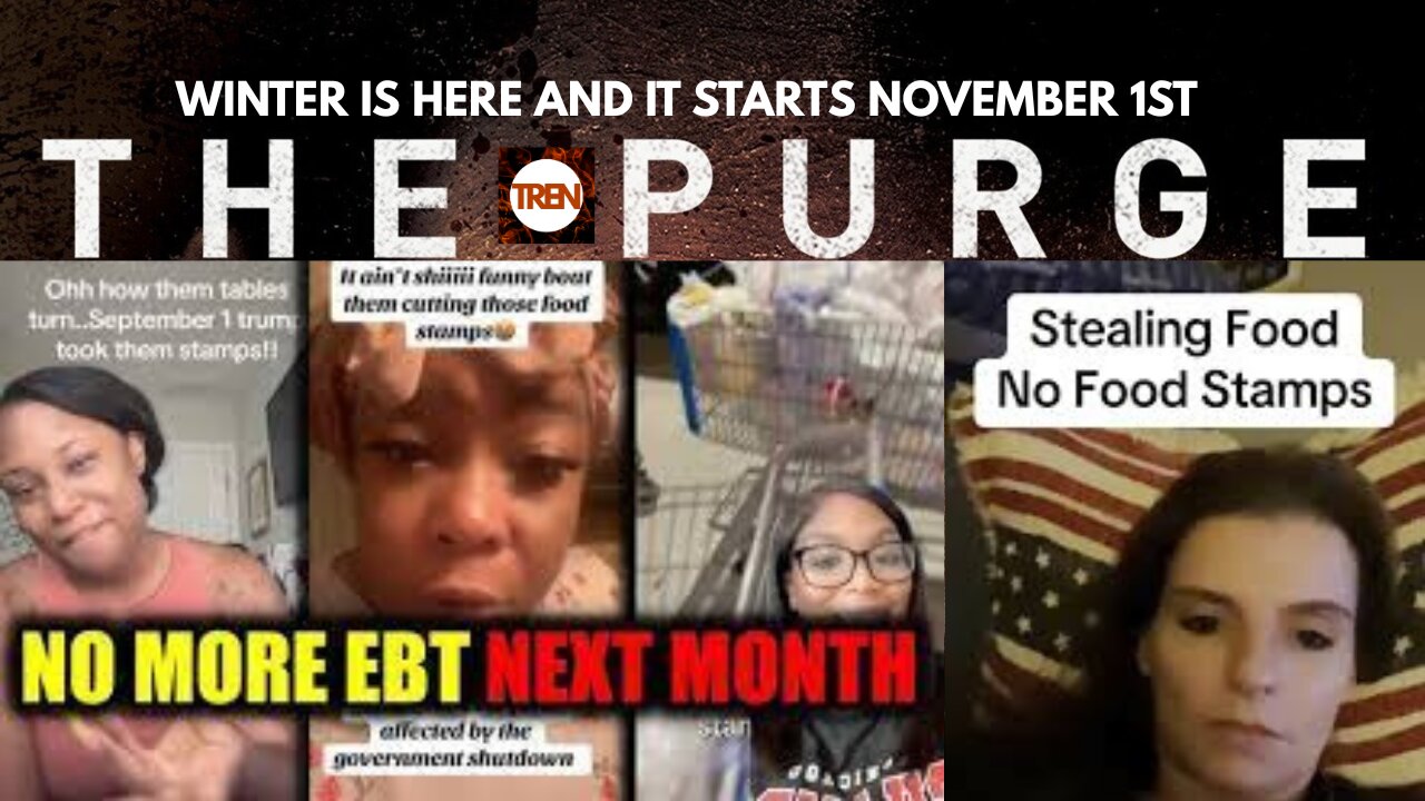 🔴 FAIR USE LIVE: The Purge starts this Weekend!