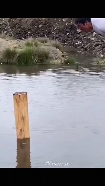 ✅ 😂 হাসির সুনামি! এই ভিডিও না দেখলে মিস!