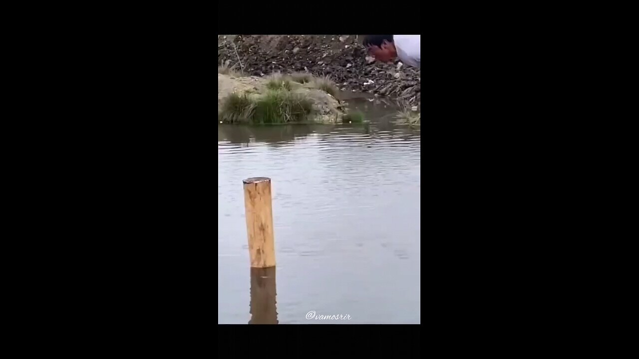 ✅ 😂 হাসির সুনামি! এই ভিডিও না দেখলে মিস!