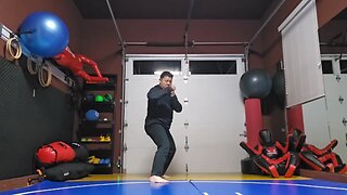 WTD Rear Side Kick to Snap Hook Kick sequential